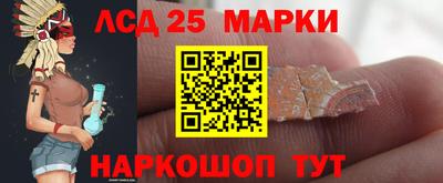 гидра Тверь