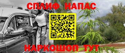 гидра Тверь