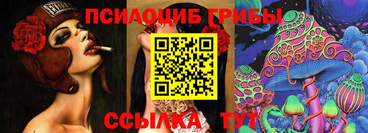 Галлюциногенные грибы Psilocybe Чебоксары