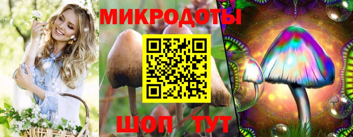 Чебоксары  Галлюциногенные грибы прущие грибы  Вход с VPN 